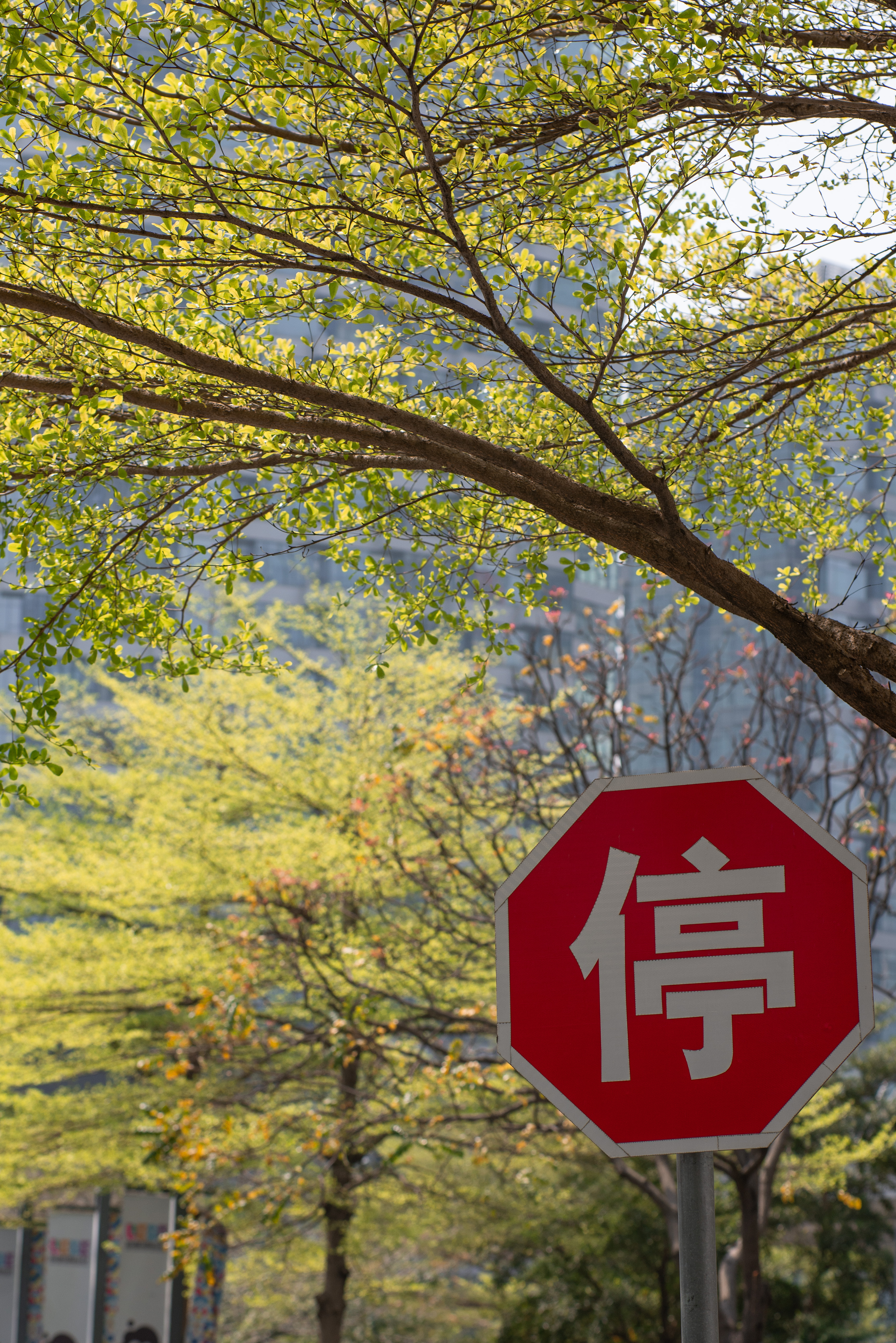 “春秋一同 NIKON D610 100MM F2”