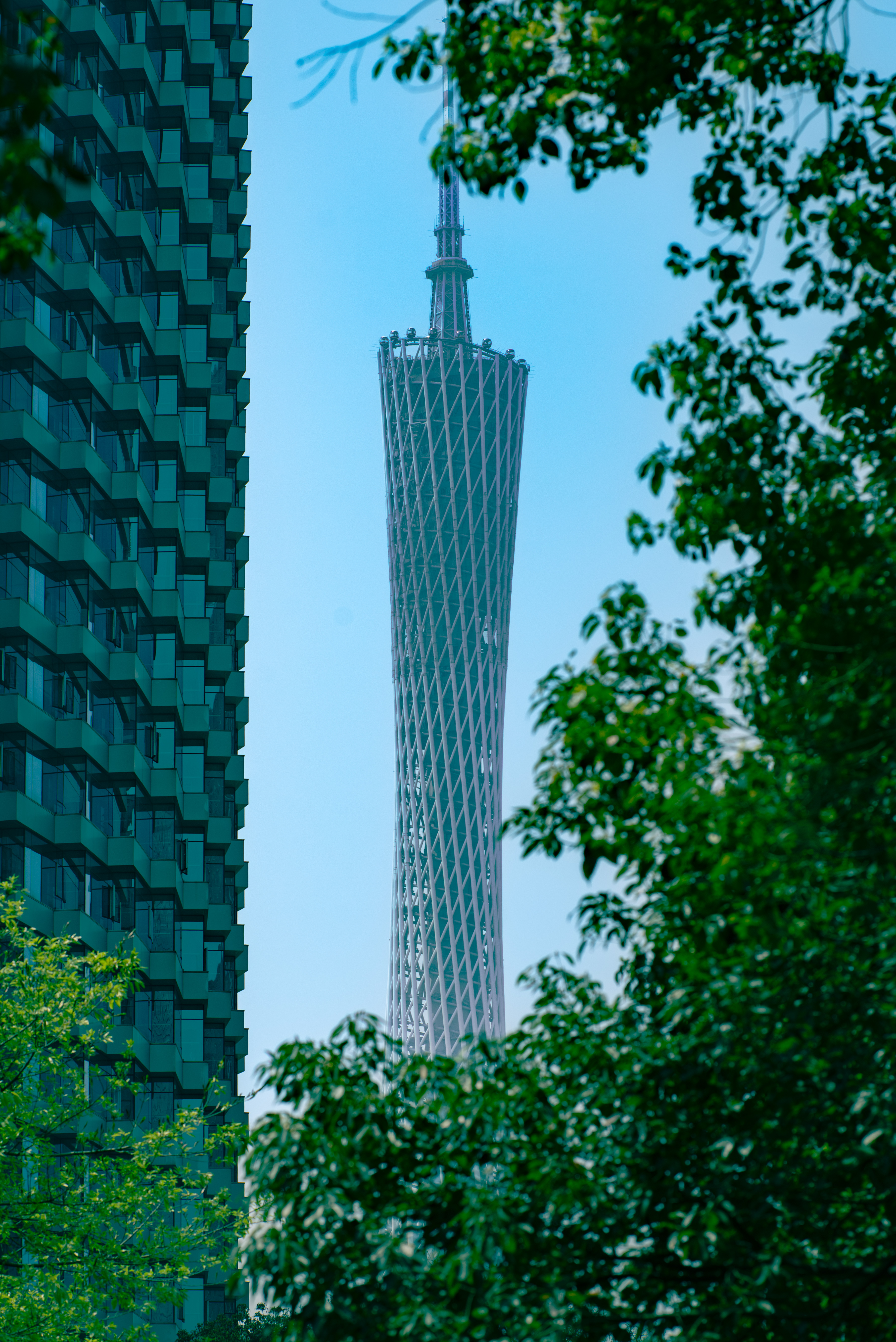 (“来到中大，还没有上去过 NIKON D610 100MM F2。”)