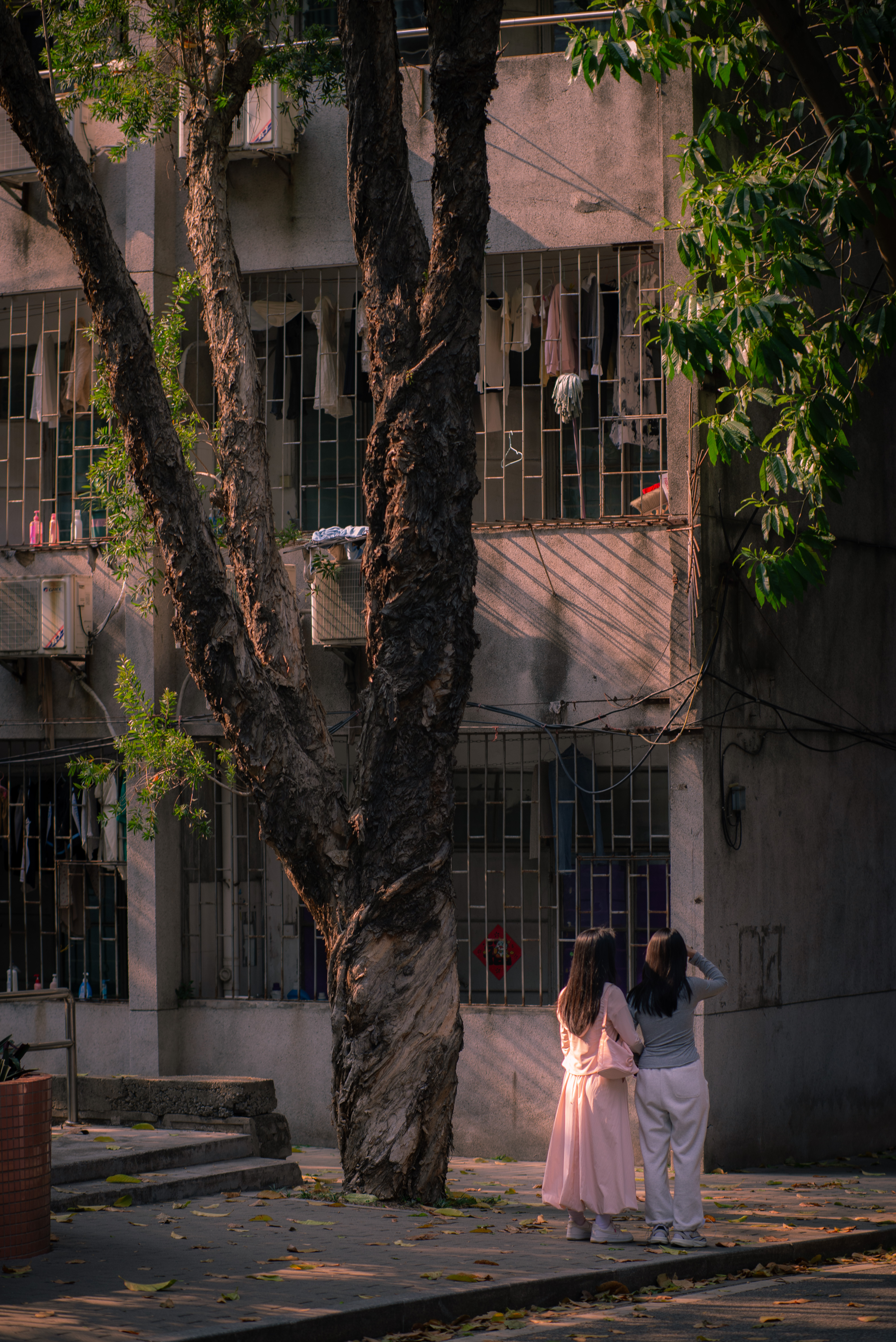 “NIKON D610 100MM F2”